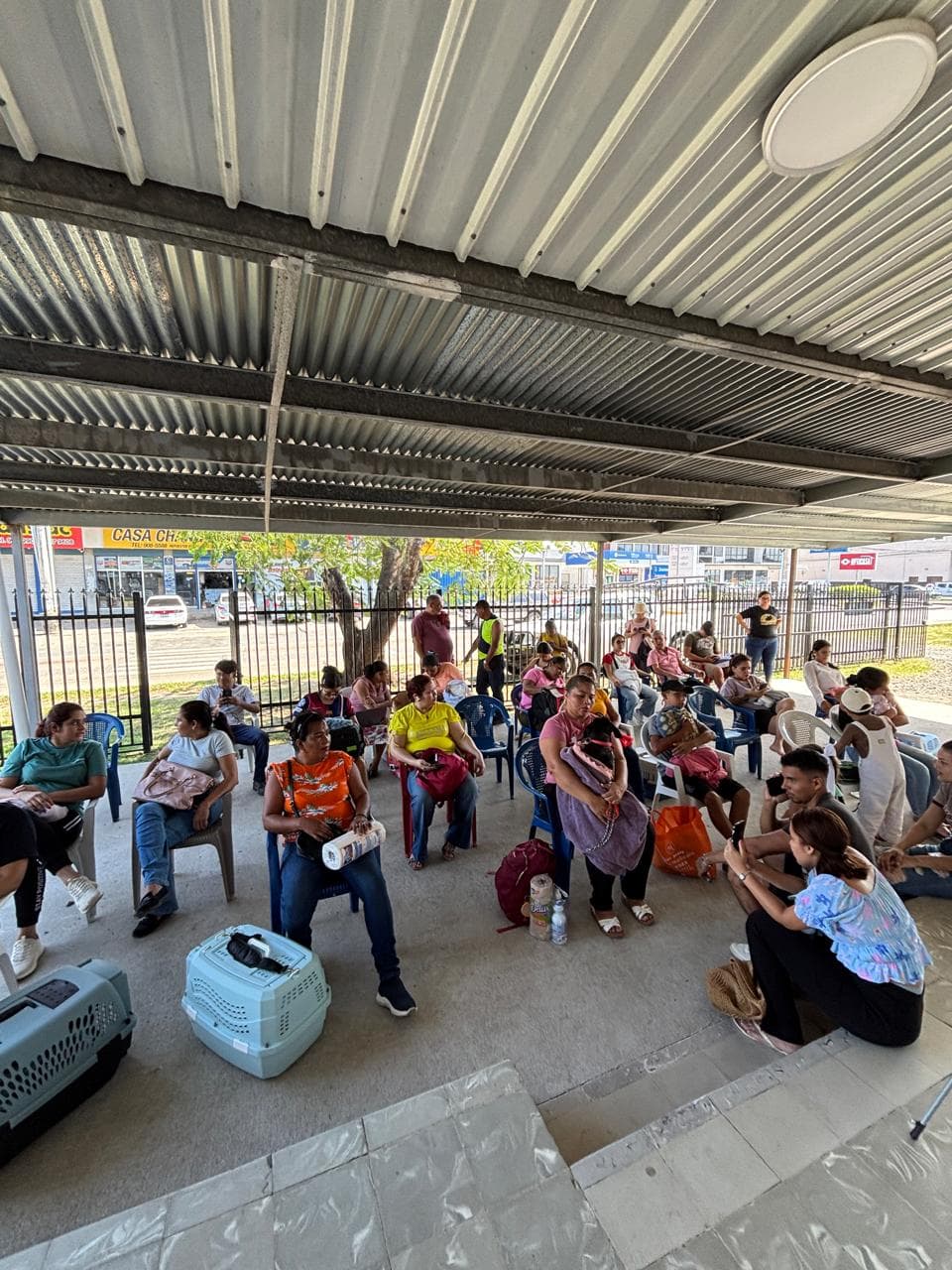 Jornada de esterilización en Penonomé
